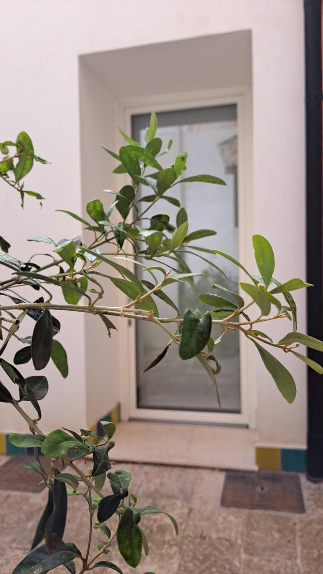 B&B Garibaldi Alcamo Kültér fotó